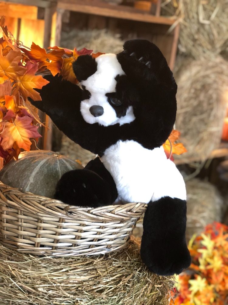 Фото мягкая игрушка панда тедди из натурального меха кролика рекс 45 см Holich Toys в разных ракурса