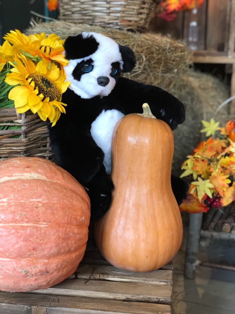 Фото мягкая игрушка панда тедди из натурального меха кролика рекс 45 см Holich Toys в разных ракурса