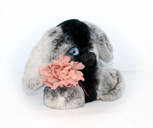 Мягкая игрушка зайчик с длинными ушами из натурального меха кролика рекс Боня шиншилла картинка
