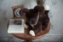 Картинка мягкая игрушка собака из меха кролика рекс коричневый аслан Holich Toys в разных ракурса