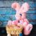 Фото №2 мягкая игрушка зайка - тедди из натурального меха франц розовый 